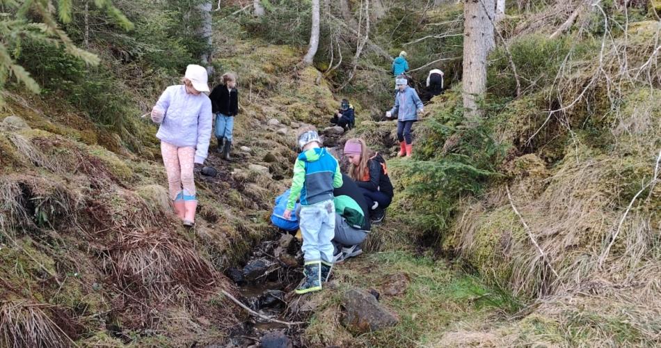 Nationalpark Hohe Tauern